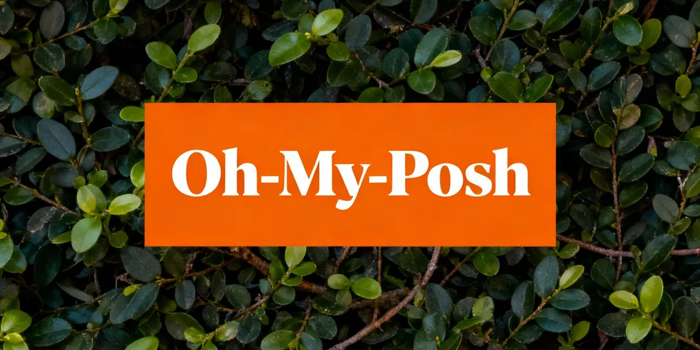 Setting up Oh-My-Posh on Windows
