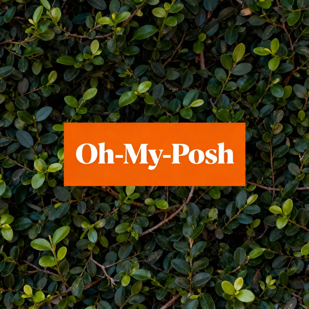 Setting up Oh-My-Posh on Windows